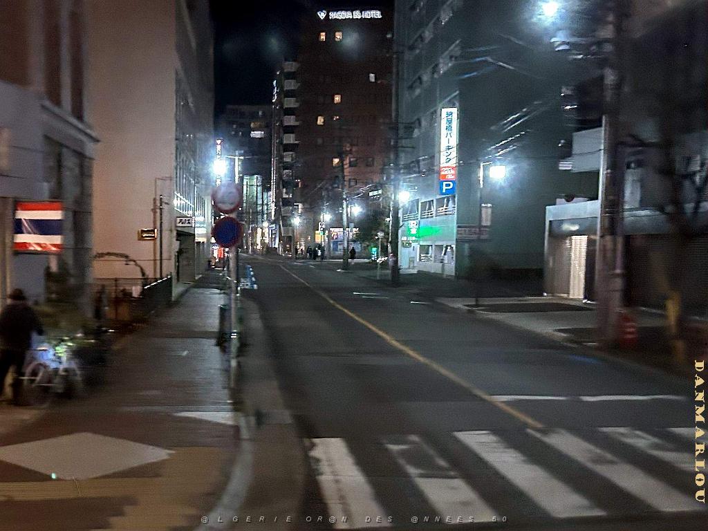 Nagoya - Retour a Nagoya- 180.jpg